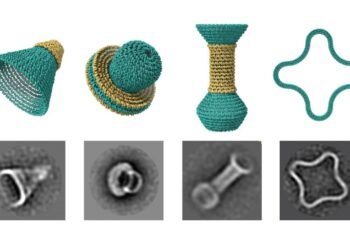 Designed with DNA. Nano Digest.