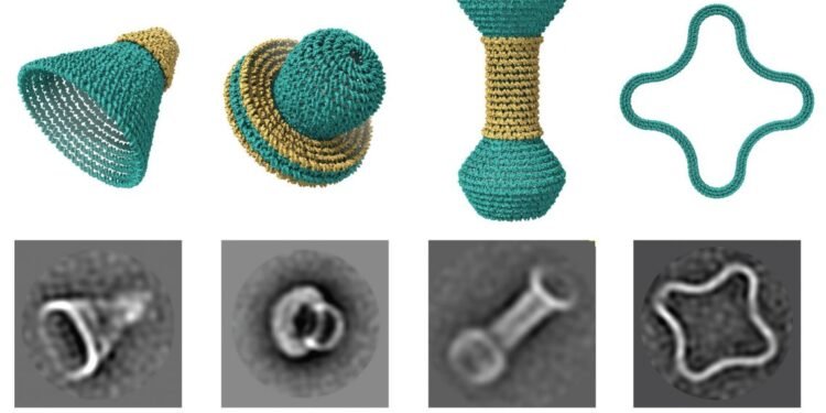 Designed with DNA. Nano Digest.