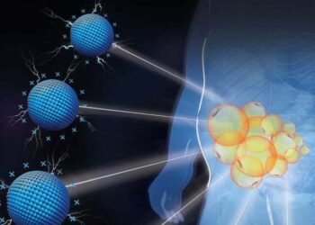 Highly charged nanomaterials treat obesity wherever you want, Nano Digest.