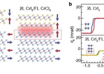 interfacial ferromagnetism in 2D antiferromagnetic hetero structures. Nano Digest.