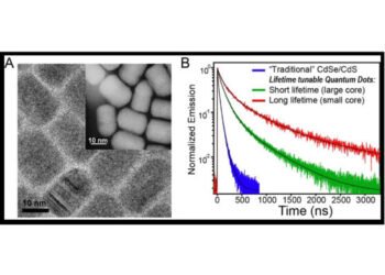 New quantum dot study reveals implications for biological imaging, Nano Digest.