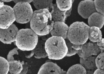 A novel 'raspberry-type' nanoparticle for precise drug delivery. Nano Digest.