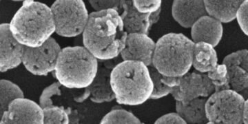 A novel 'raspberry-type' nanoparticle for precise drug delivery. Nano Digest.