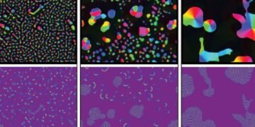 This model shows how intelligent behavior can emerge from non-living things. Nano Digest. 