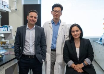 'Billions of nano soldiers', Nano Digest.