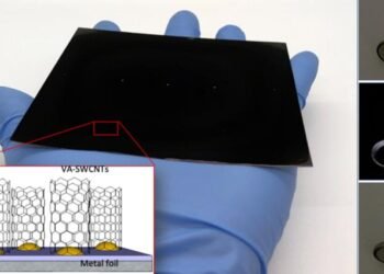 Enter the carbon nanotubes. Nano Digest.