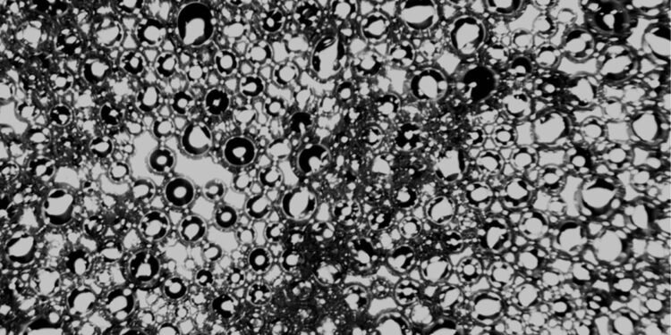 Researchers developed nanoscale technology to fight osteoporosis, Nano Digest.