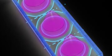 Virtual Column separates and settles blood-based nanoparticles, Nano Digest.