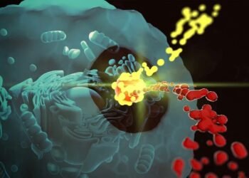 In the heart of the cell