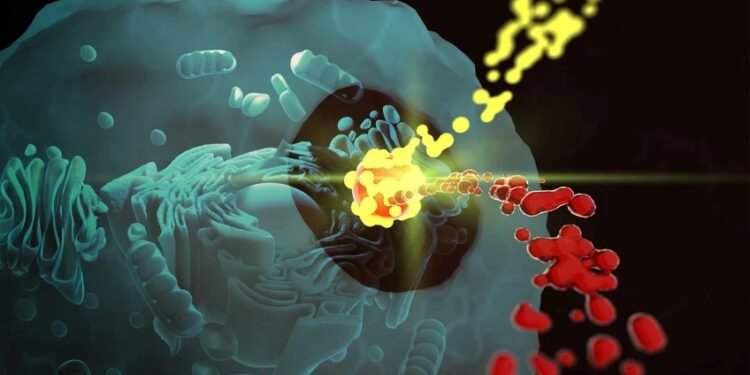 In the heart of the cell