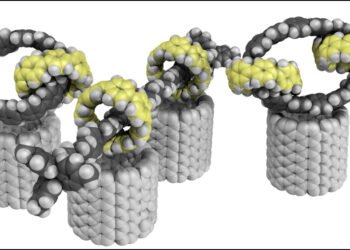 Researchers synthesize new types of nanomaterials. Nano Digest.