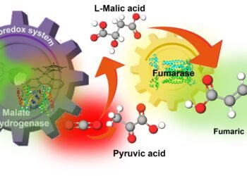 Synthesis of fumaric acid by a new method. Nano Digest.