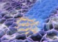 Designing Gas detecting devices using nanomaterials. Nano Digest.