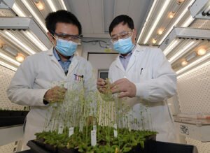 New tools to regenerate plants. Nano Digest.