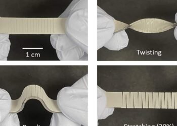 A Stretchable Sensor developed. Nano Digest
