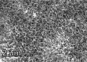 Plastic waste disposal services guarantee benefits. Nano Digest.