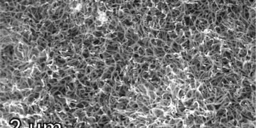 Plastic waste disposal services guarantee benefits. Nano Digest.