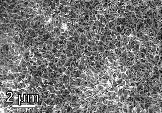 Plastic waste disposal services guarantee benefits. Nano Digest.