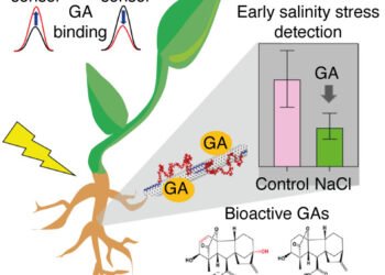 The first nanotube sensor can detect and distinguish plant gibberellin hormones. Nano Digest.