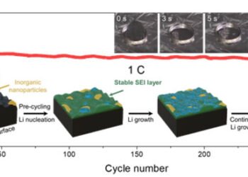 Carbon fiber sheets for long-lasting electric vehicle batteries. Nano Digest.