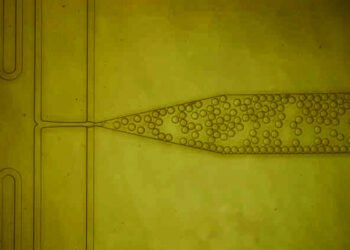 A new purification technique to make protein drugs cheaper. Nano Digest.