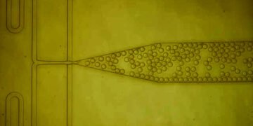 A new purification technique to make protein drugs cheaper. Nano Digest.