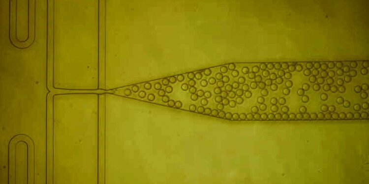 A new purification technique to make protein drugs cheaper. Nano Digest.