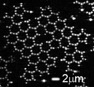  We can see the Graphene Growing. Nano Digest.