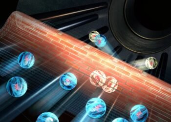 Particles Captured by Tunnels. Nano Digest.