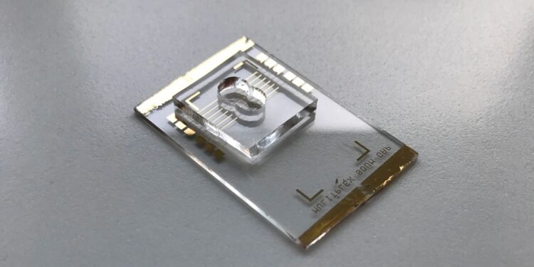 nanobiosensor based on gold nanowires. Nano Digest.