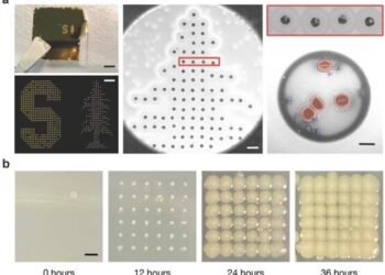 Development of cost-effective and strong carbon fiber composites using carbon nanotubes. Nano Digest.