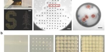 Development of cost-effective and strong carbon fiber composites using carbon nanotubes. Nano Digest.