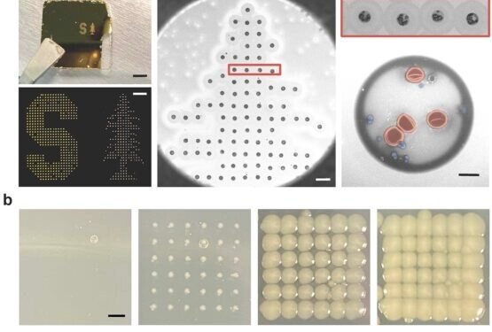 Development of cost-effective and strong carbon fiber composites using carbon nanotubes. Nano Digest.