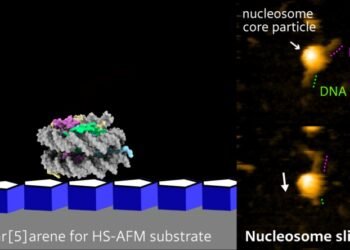 Nanoscale Biomolecular Shift. Nano Digest.