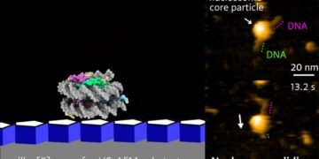 Nanoscale Biomolecular Shift. Nano Digest.