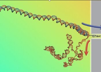 Breaking DNA to reveal its physics. Nano Digest.