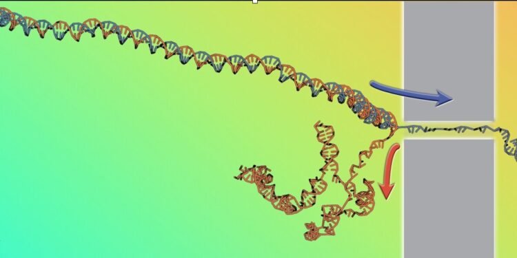 Breaking DNA to reveal its physics. Nano Digest.