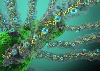 Light accelerates conductivity into nature's 'electricity'. Nano Digest.