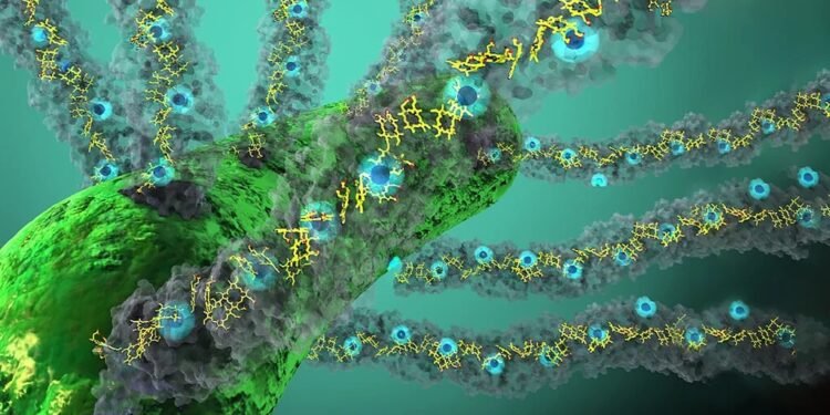 Light accelerates conductivity into nature's 'electricity'. Nano Digest.