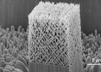 Mechanical metamaterials with extremely high energy absorption capabilities. Nano Digest.