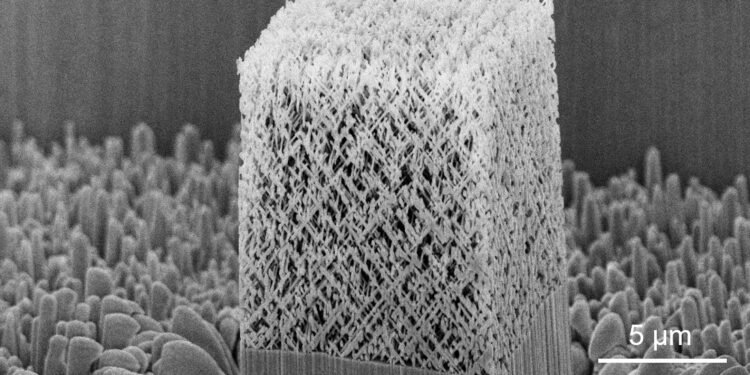 Mechanical metamaterials with extremely high energy absorption capabilities. Nano Digest.