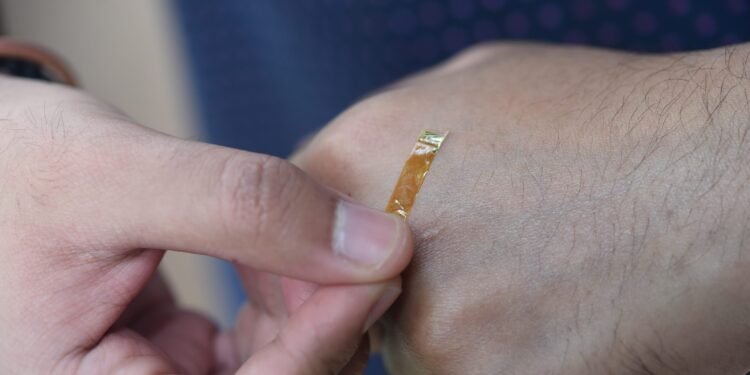 Flexible gold sensors open a new generation of drug delivery. Nano Digest.