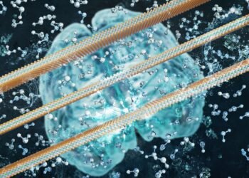 A smart membrane with memory makes the next generation smart filter. Nano Digest.