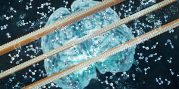 A smart membrane with memory makes the next generation smart filter. Nano Digest.