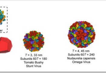 A large nanocage can deliver large drug loads. Nano Digest.