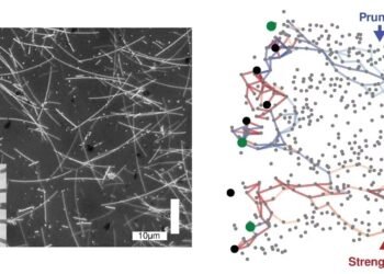 Human intelligence can be physical. Nano Digest.
