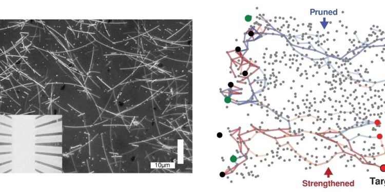 Human intelligence can be physical. Nano Digest.