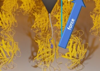 Anisotropic friction Discovered. Nano Digest.