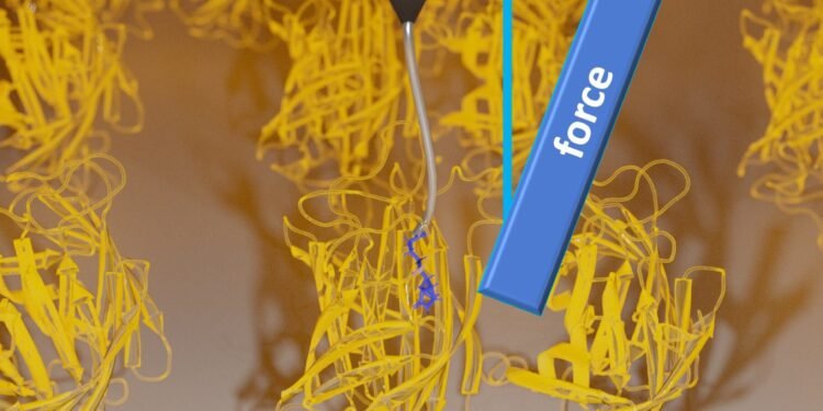 Anisotropic friction Discovered. Nano Digest.