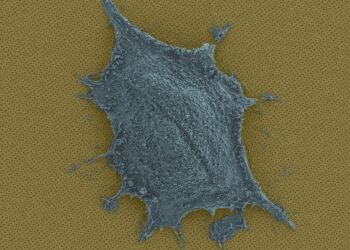 Nanoplasmonic imaging reveals protein secretion in real time. Nano Digest.